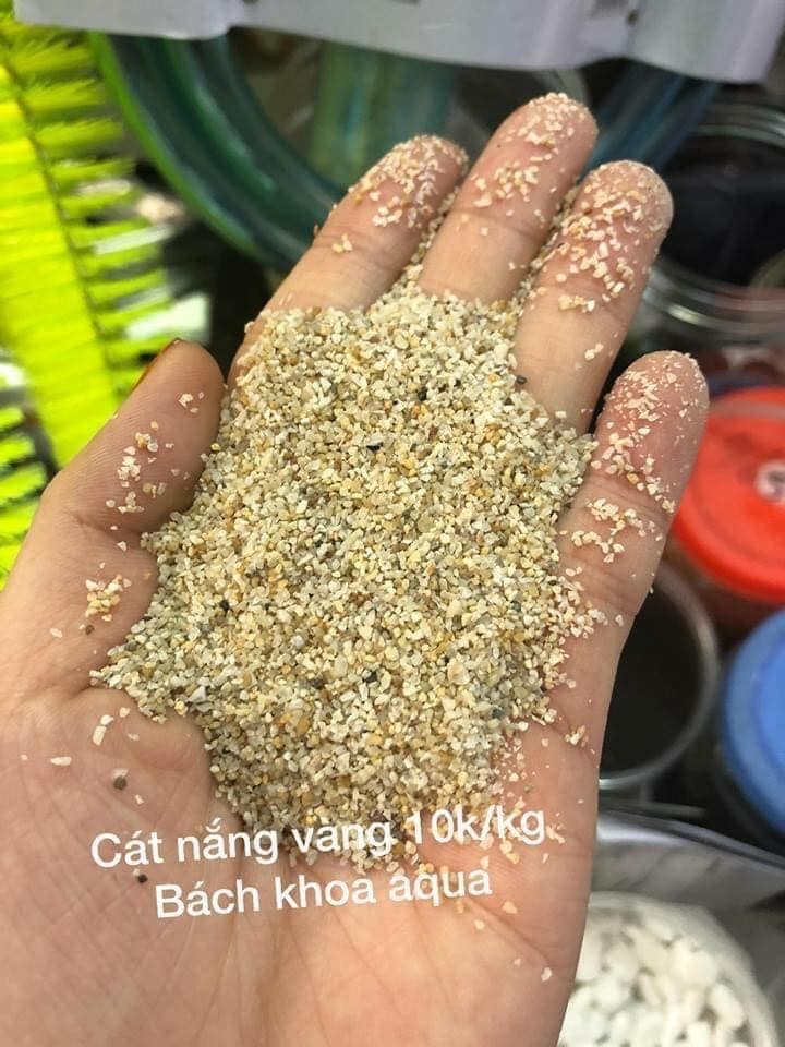 Cát vàng loại 2